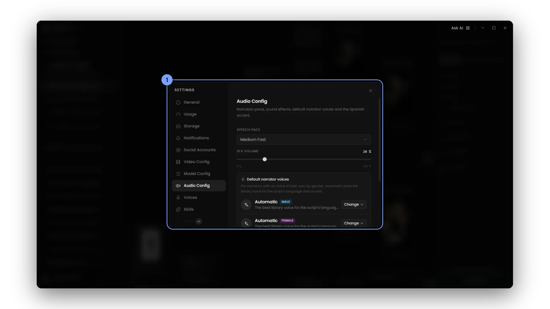 Speech pace, SFX volume, default narrator voices and automatic accents.