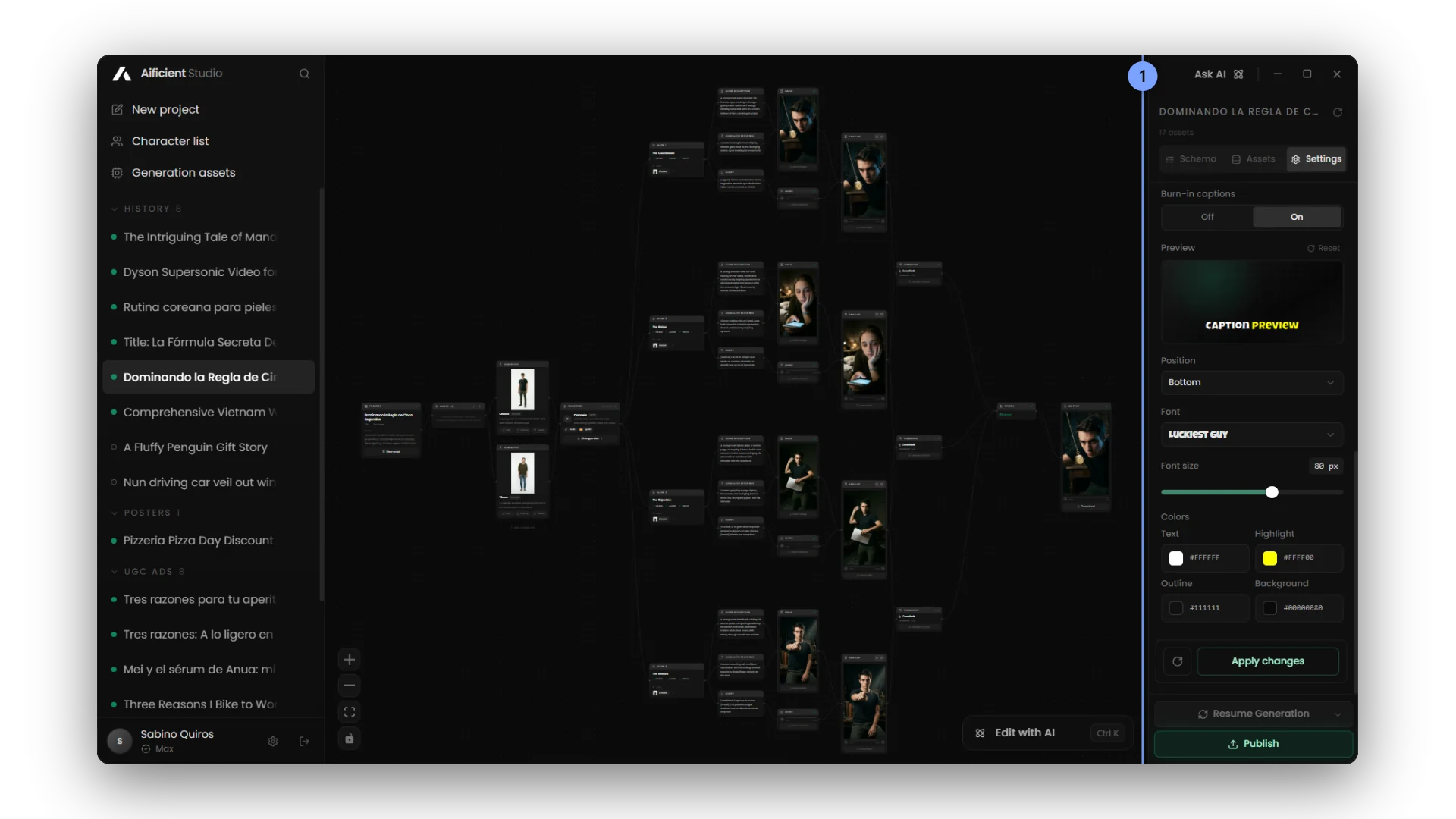 The project's video settings, including captions with a live preview.